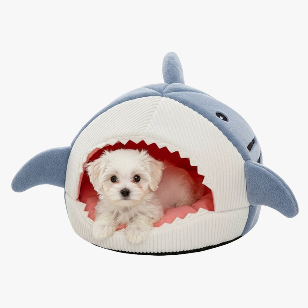 panier-pour-chien-requin-bleu-face
