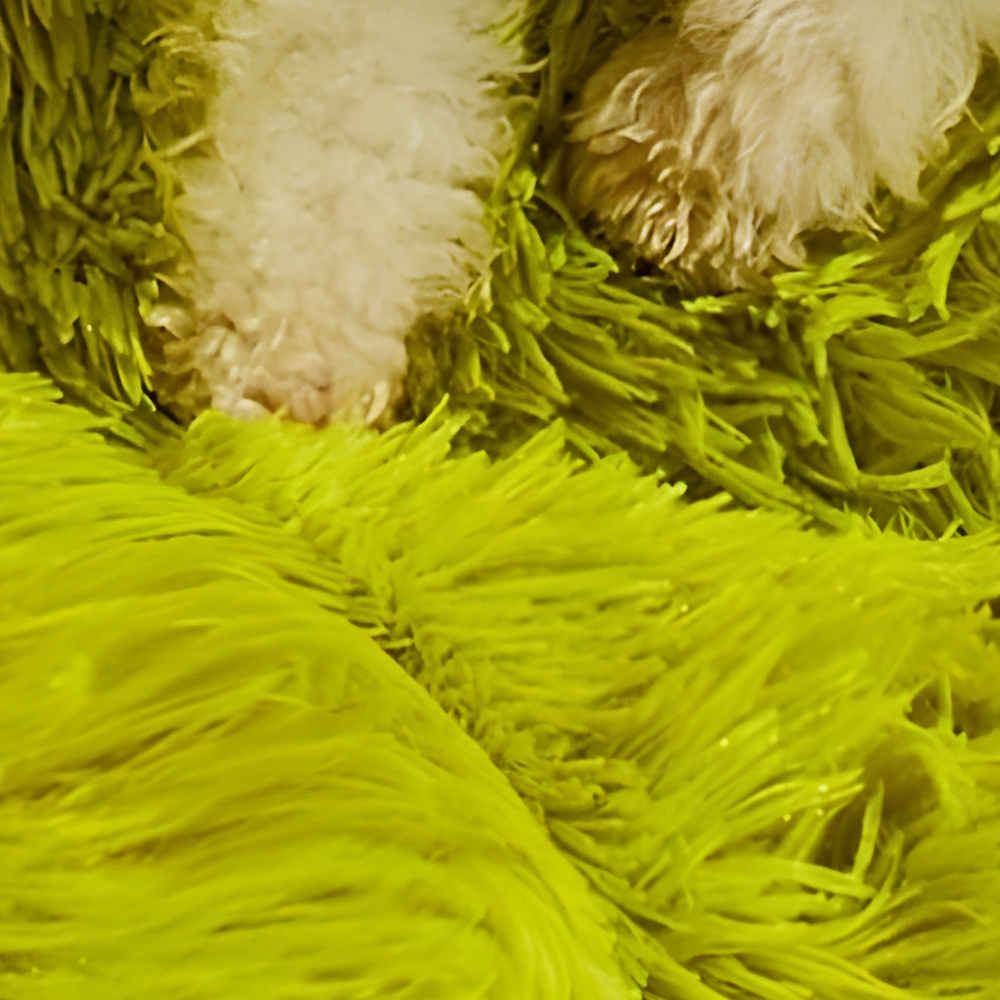 panier-pour-chien-rond-monstre-vert-doux