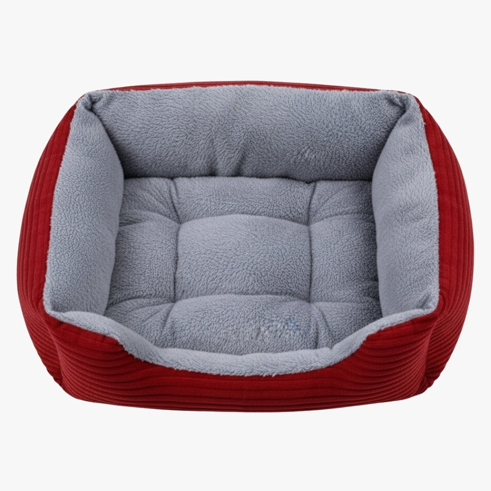 panier-pour-chien-rouge-rectangulaire-dessus-plongee