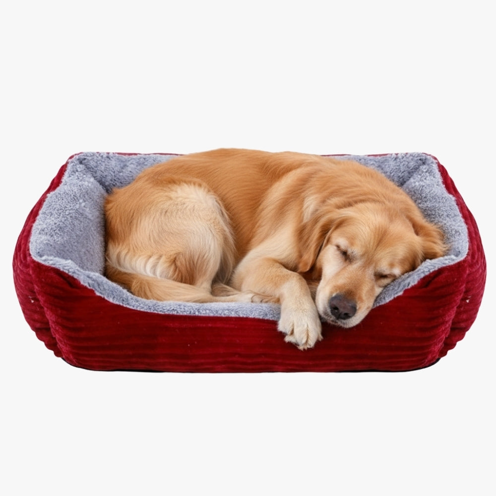 panier-pour-chien-rouge-rectangulaire