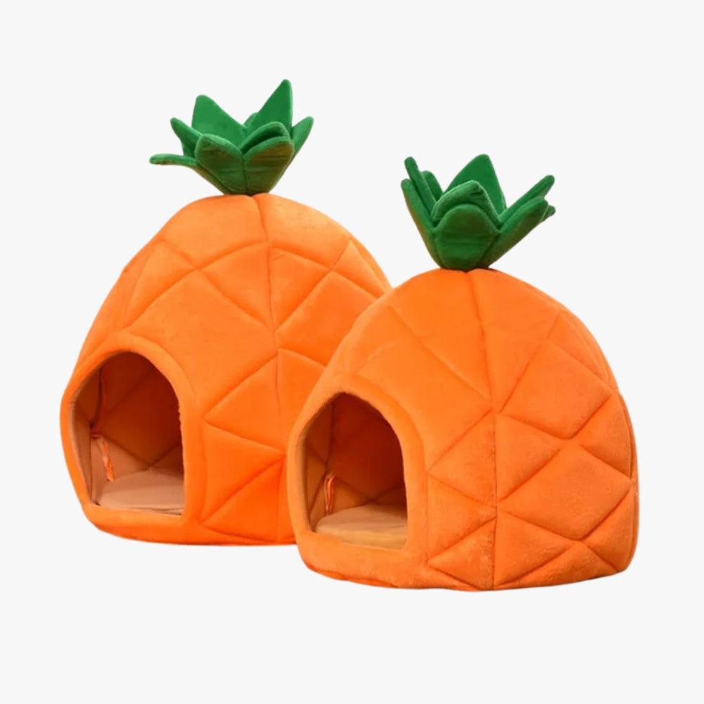 panier-pour-petit-chien-ananas-cote