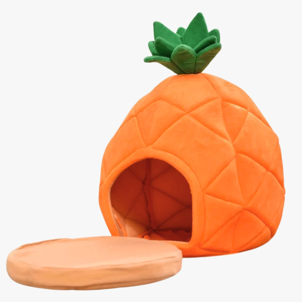 panier-pour-petit-chien-ananas-coussin