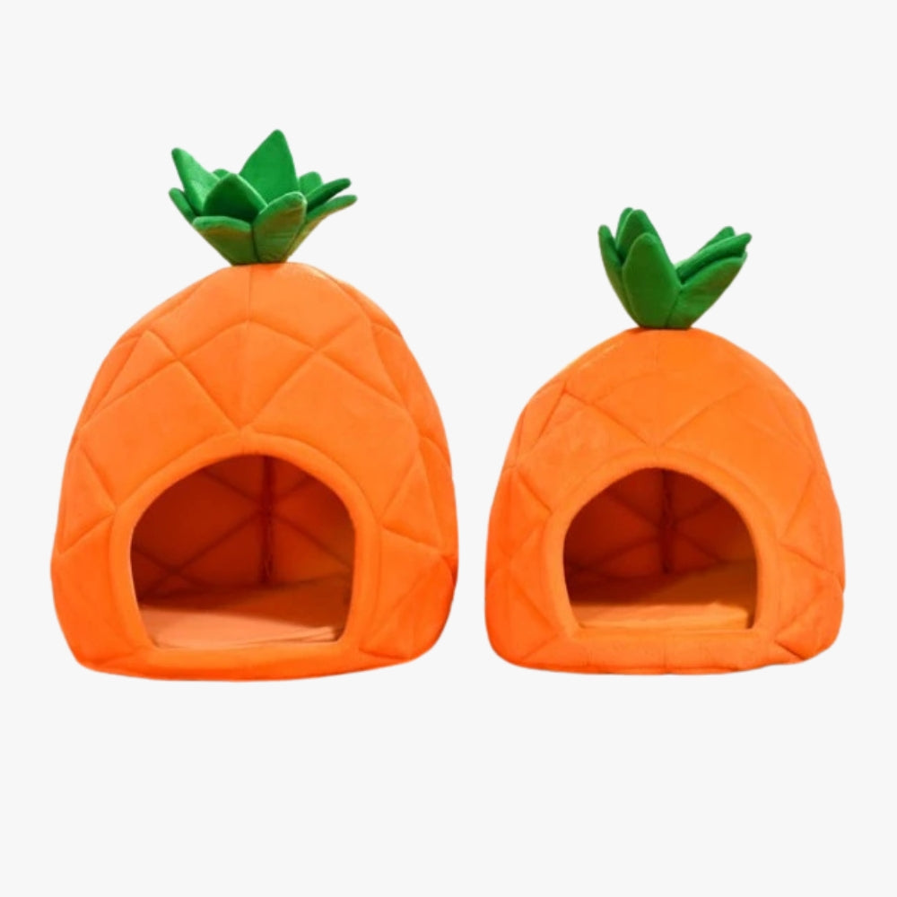 panier-pour-petit-chien-ananas-face