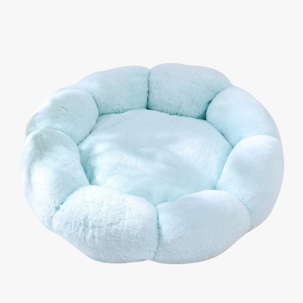 panier-pour-petit-chien-en-forme-de-fleur-beige-bleu-ciel-vide