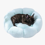 panier-pour-petit-chien-en-forme-de-fleur-beige-bleu-ciel