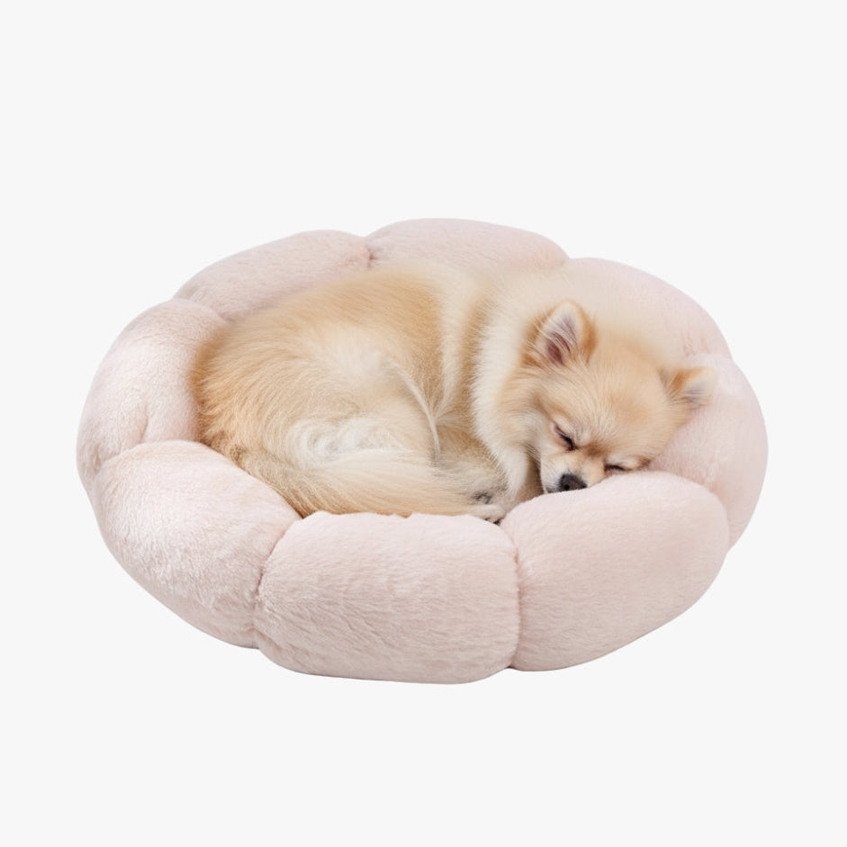 panier-pour-petit-chien-en-forme-de-fleur-beige