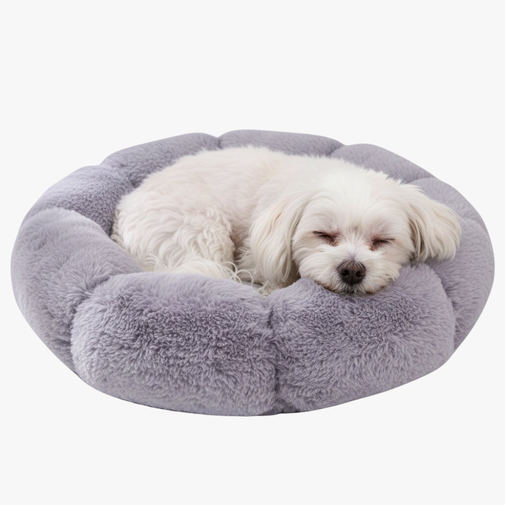 panier-pour-petit-chien-en-forme-de-fleur-gris