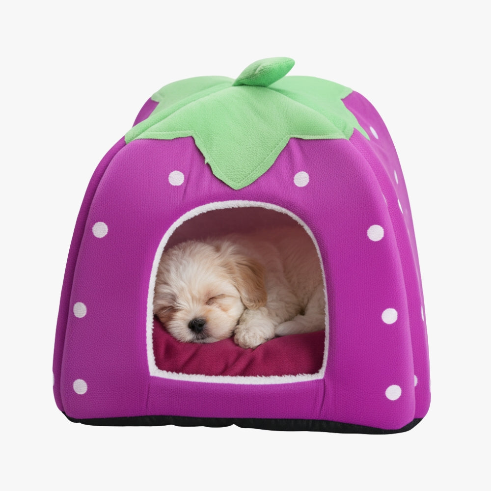 panier-pour-petit-chien-en-forme-de-fraise-violet