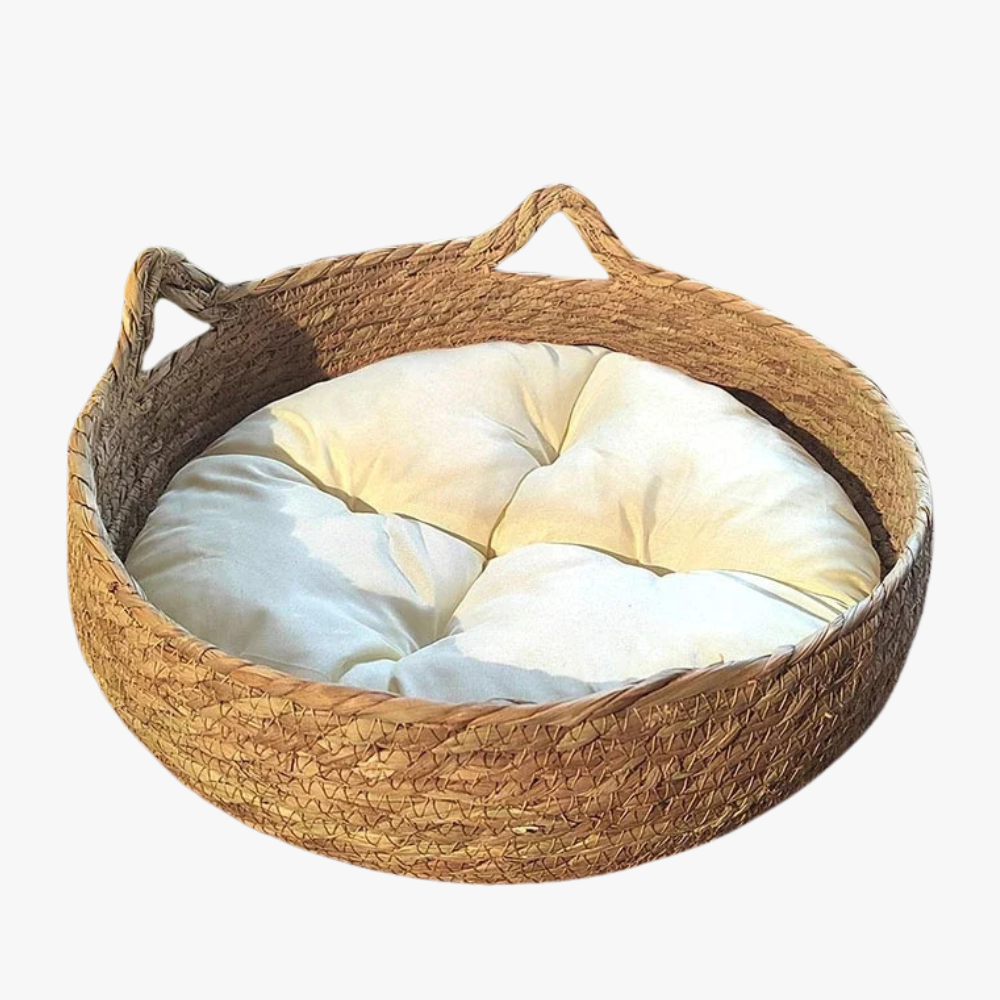 panier-pour-petit-chien-en-rotin-vide