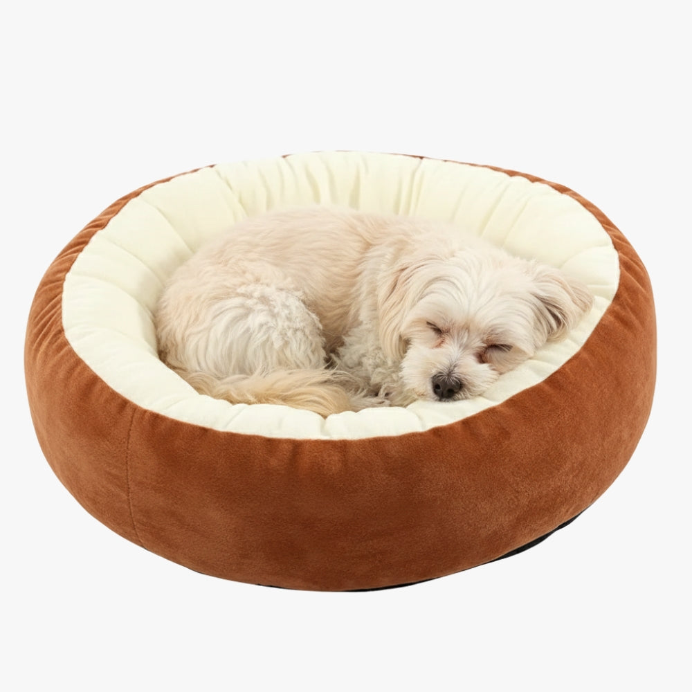 panier-pour-petit-chien-marron