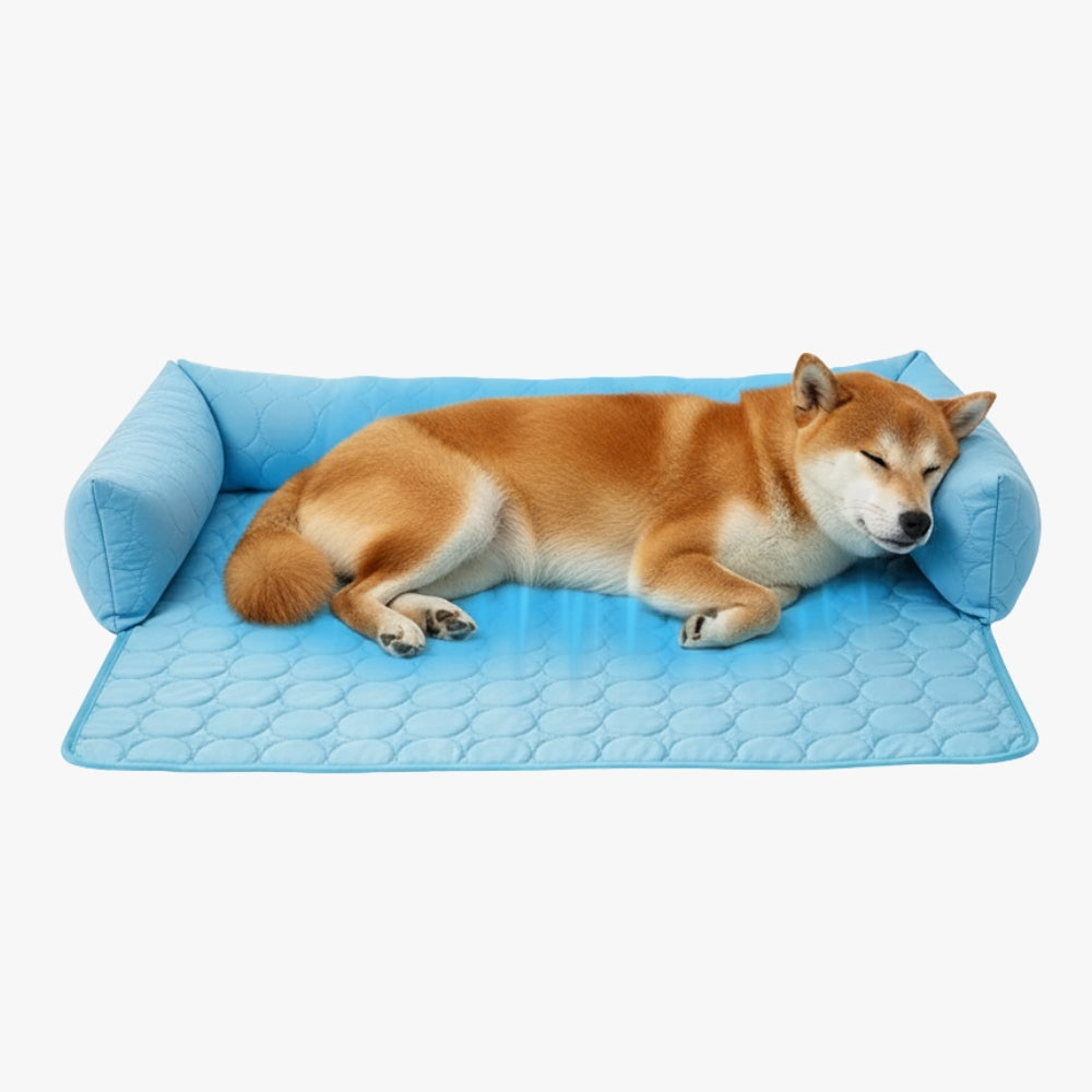 panier-rafraichissant-pour-chien-bleu