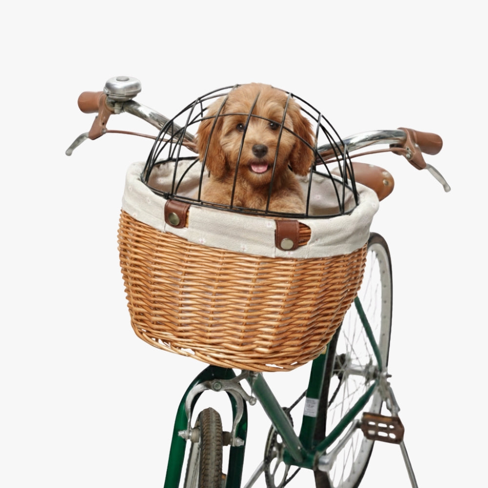 panier-velo-chien-en-rotin-beige
