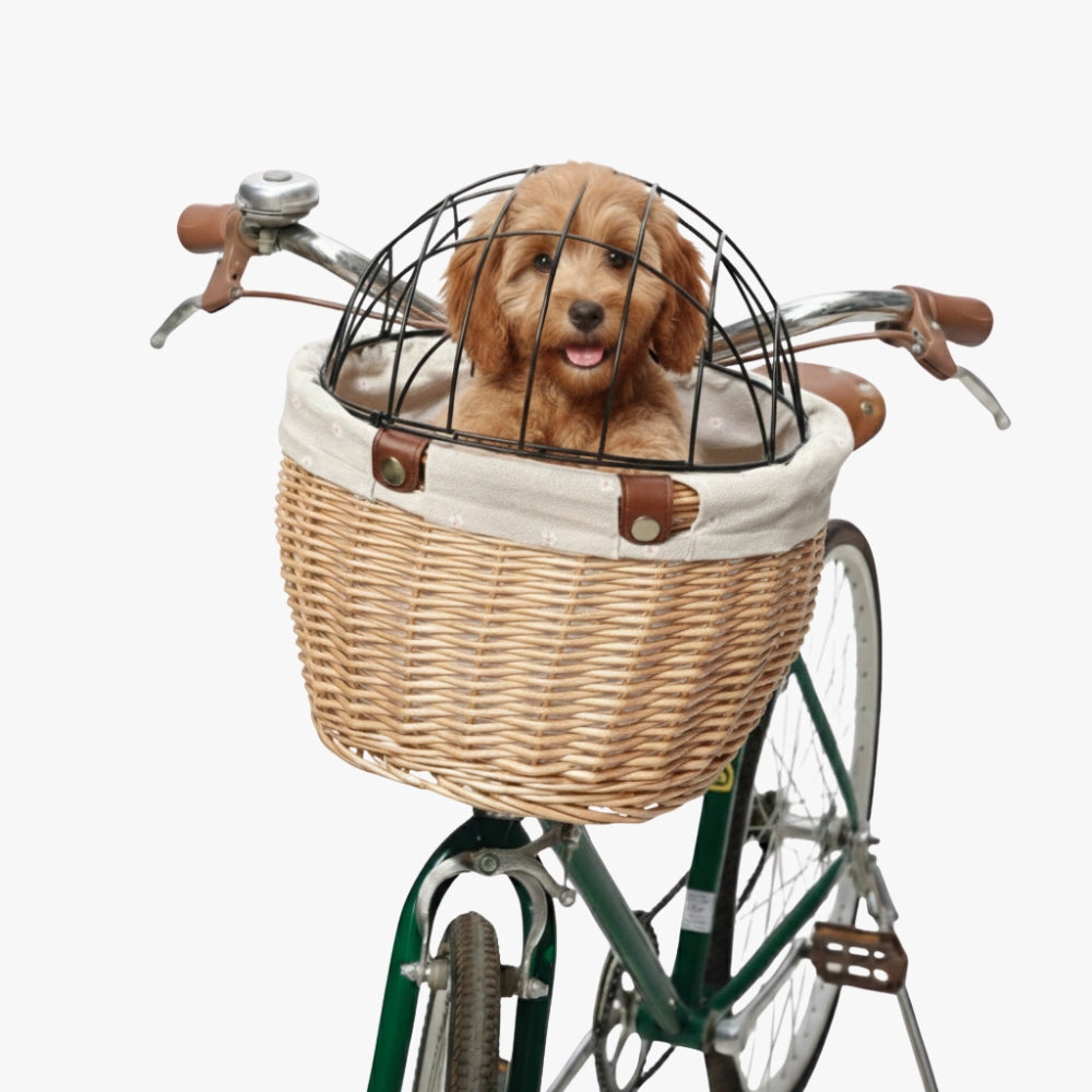 panier-velo-pour-chien-en-rotin-beige