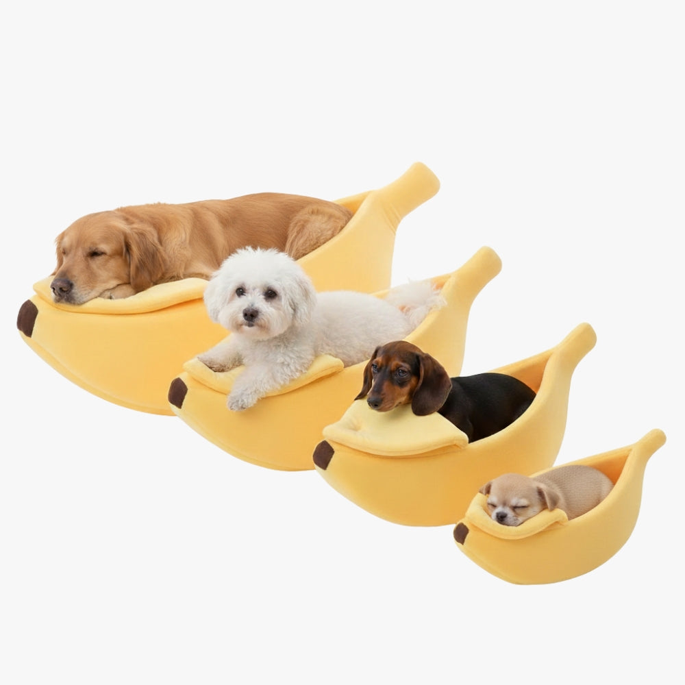 paniers-pour-chien-banane