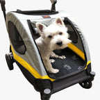 poussette-pour-chien-tout-terrain-interieur