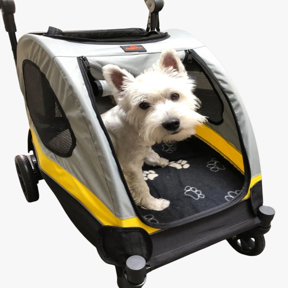 poussette-pour-chien-tout-terrain-interieur