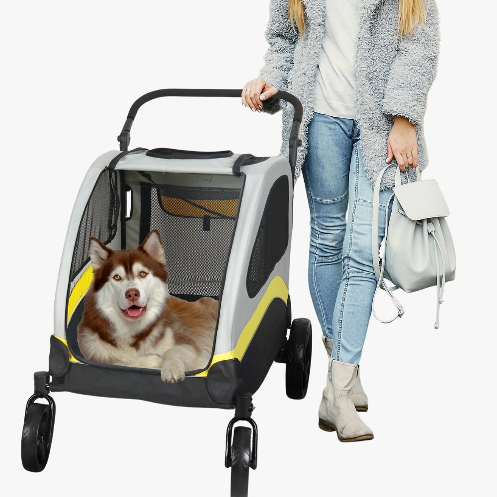 poussette-pour-chien-tout-terrain-promenade