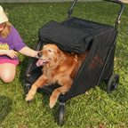 poussette-pour-grand-chien-noire-1