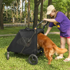 poussette-pour-grand-chien-noire-2