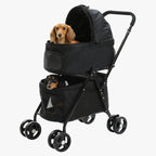 poussette-pour-petit-chien-pliable-deux-etages-noir