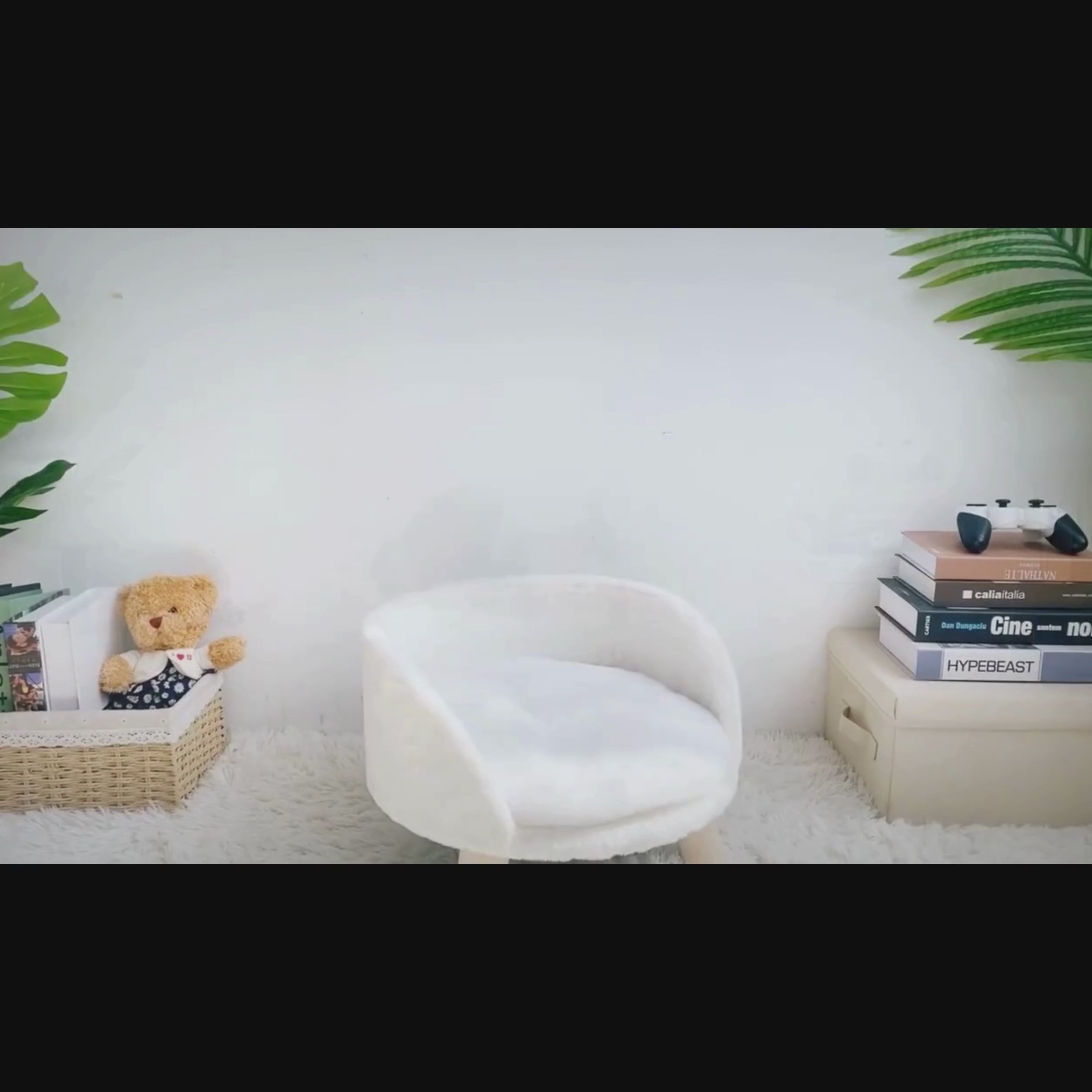 tabouret-pour-chien-blanc-video