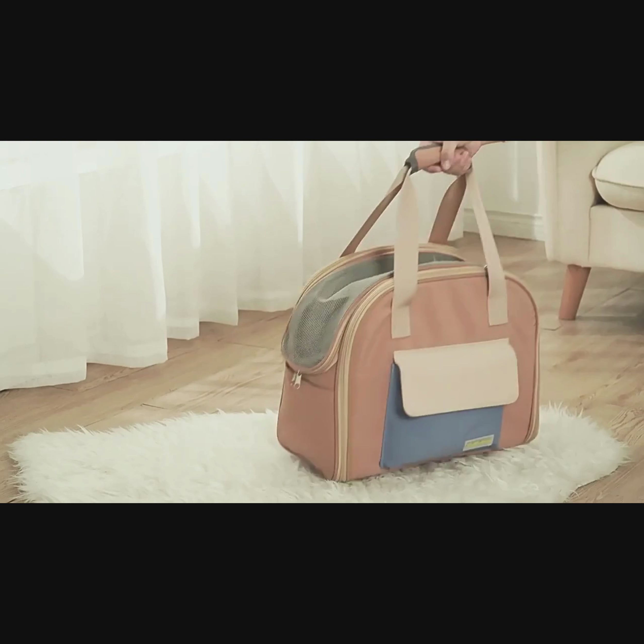 sac-de-transport-pour-chien-multifonction-video