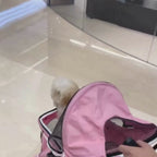 poussette-pour-petit-chien-pliable-rose-video