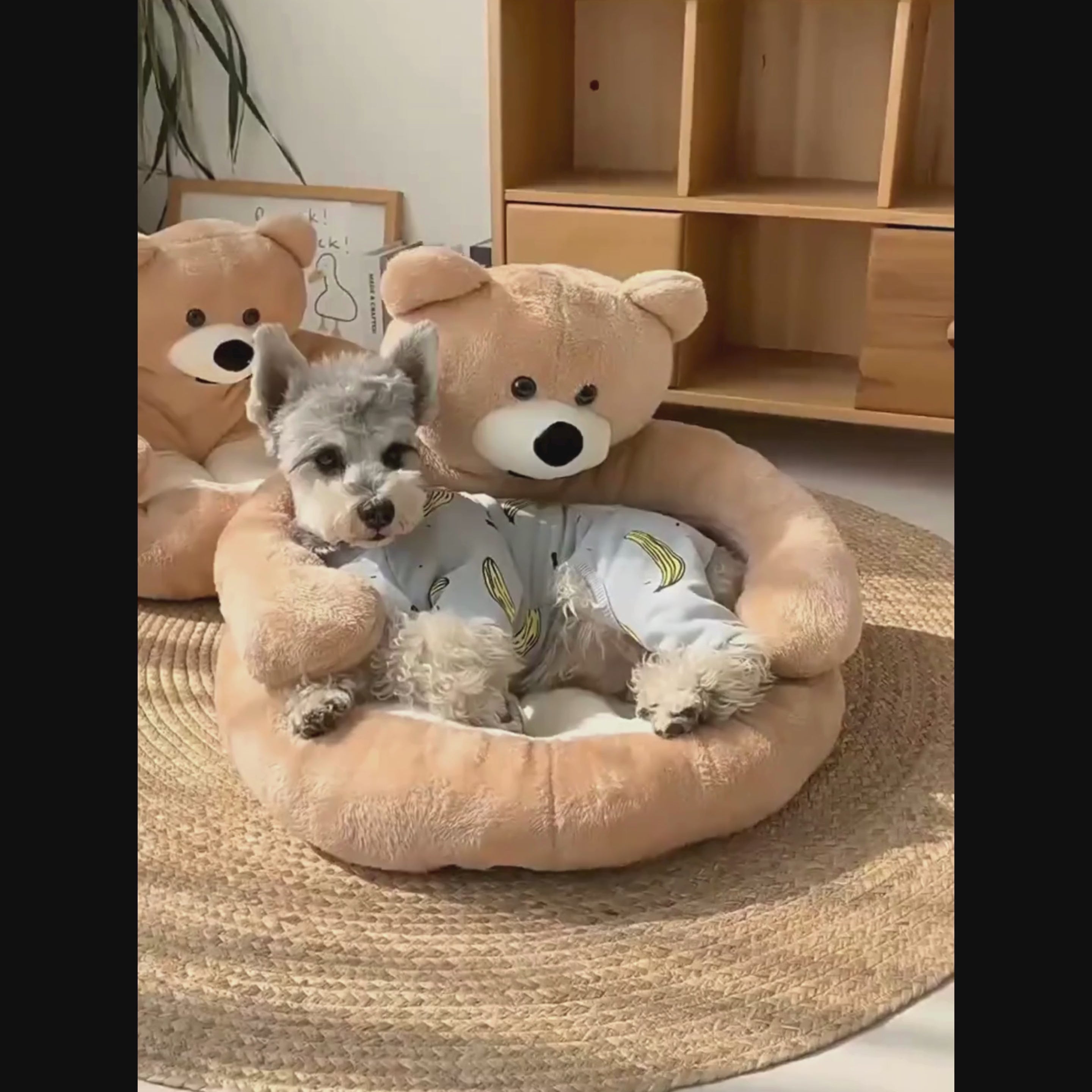 video panier pour chien en forme d'ours