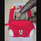 panier-pour-chien-en-forme-de-voiture-video