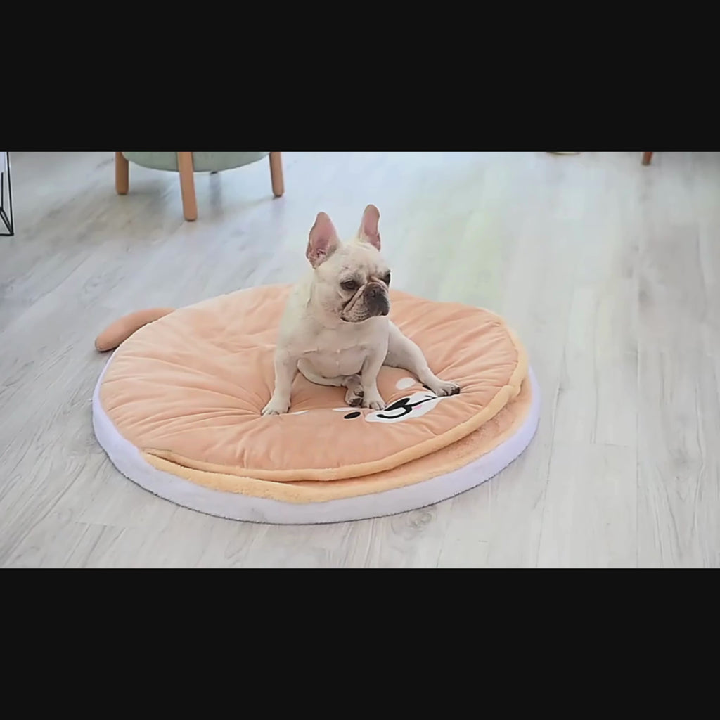 tapis pour chien avec couverture video