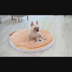 tapis pour chien avec couverture video