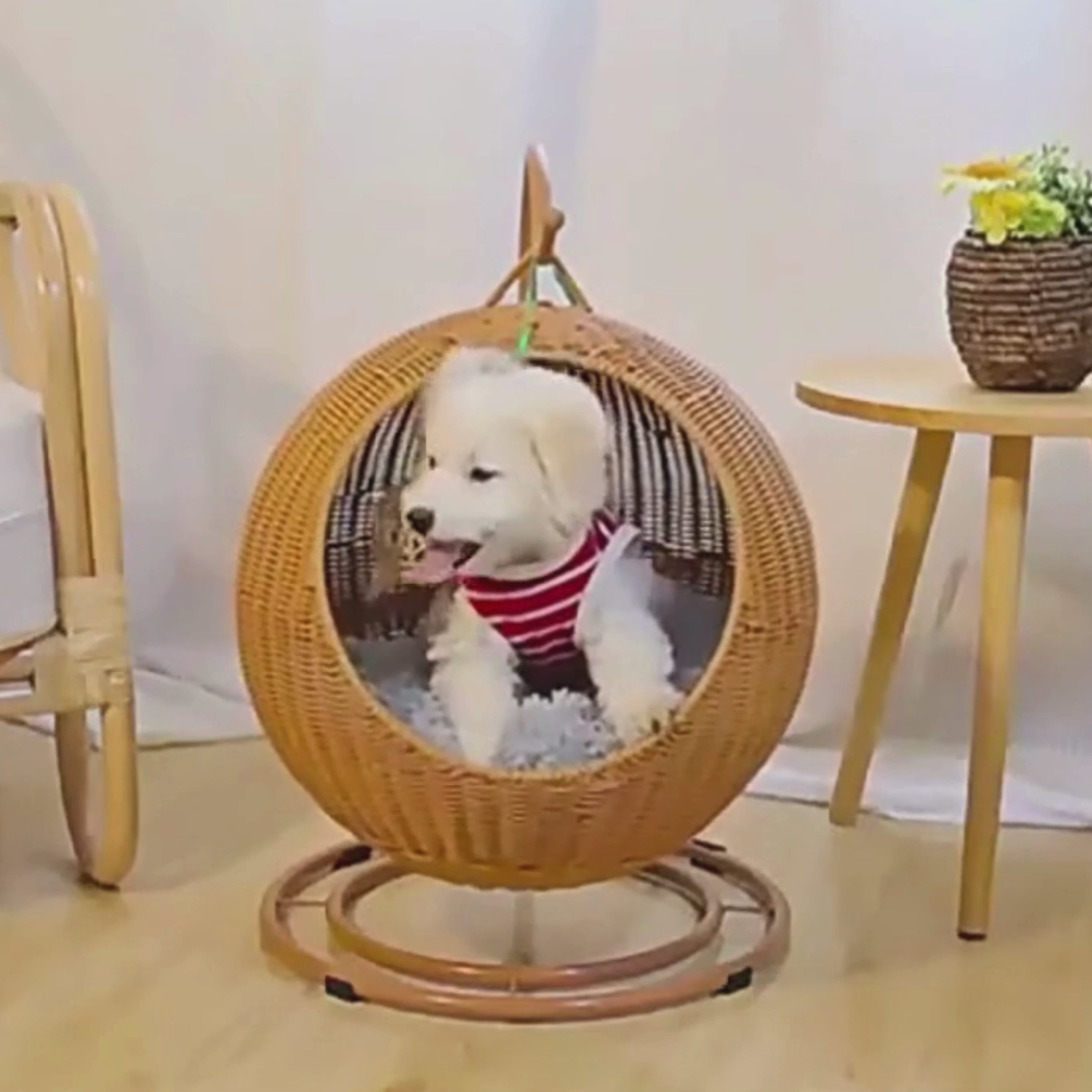 panier tresse suspendu chien video