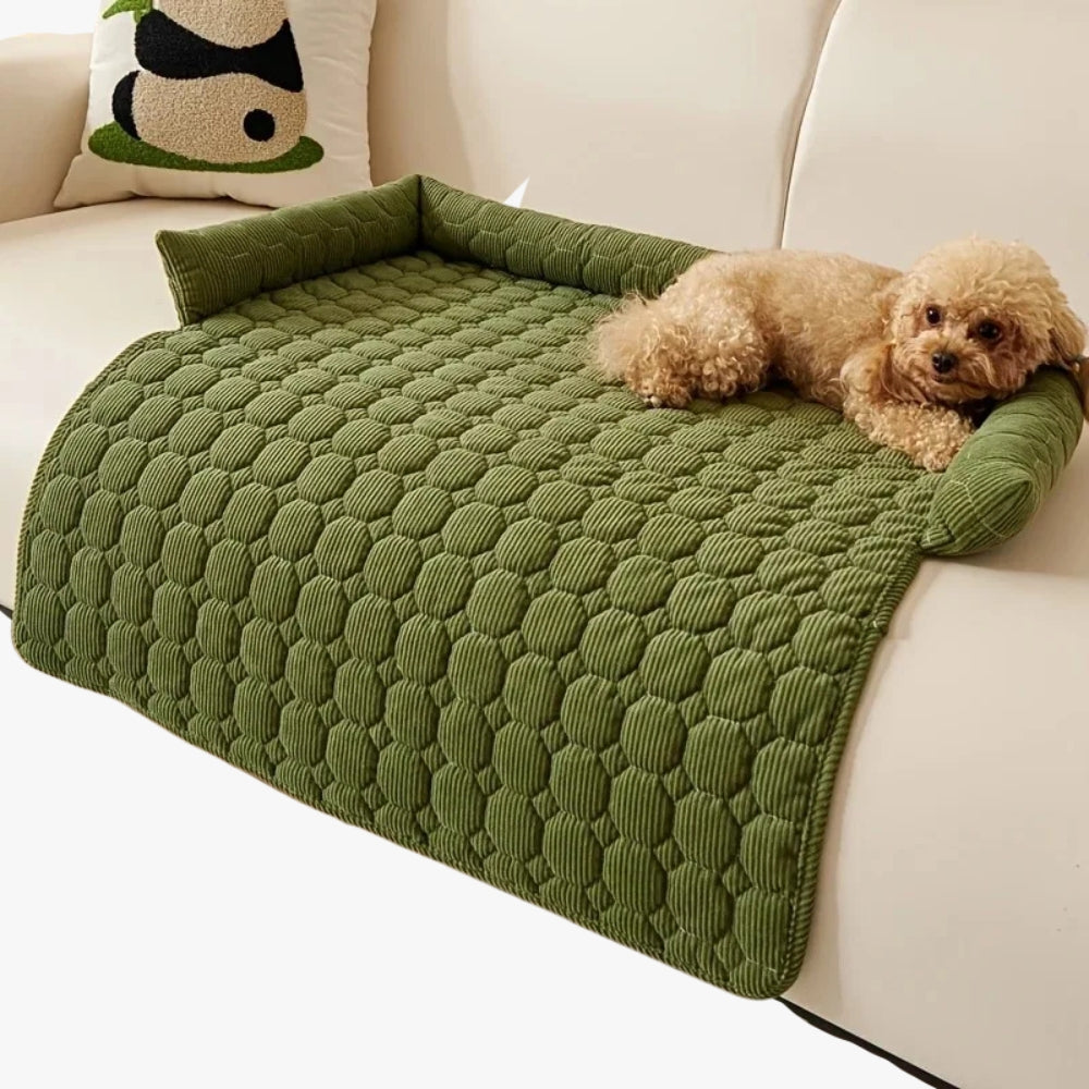 protection-de-canape-pour-chien-verte-2
