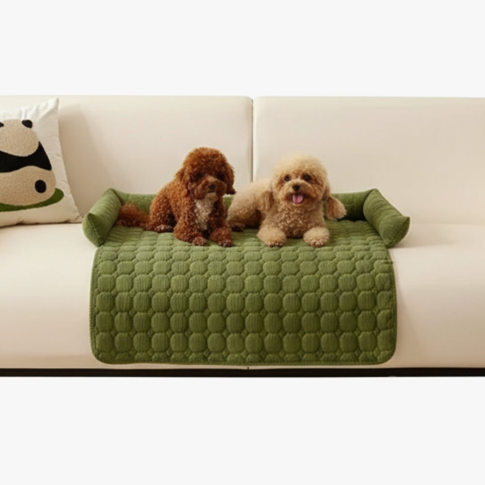 protection-de-canape-pour-chien-verte-face