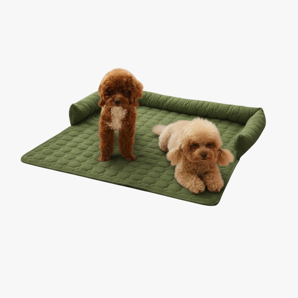 protection-de-canape-pour-chien-verte-sol