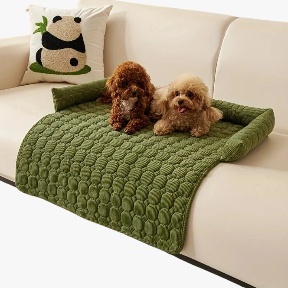 protection-de-canape-pour-chien-verte