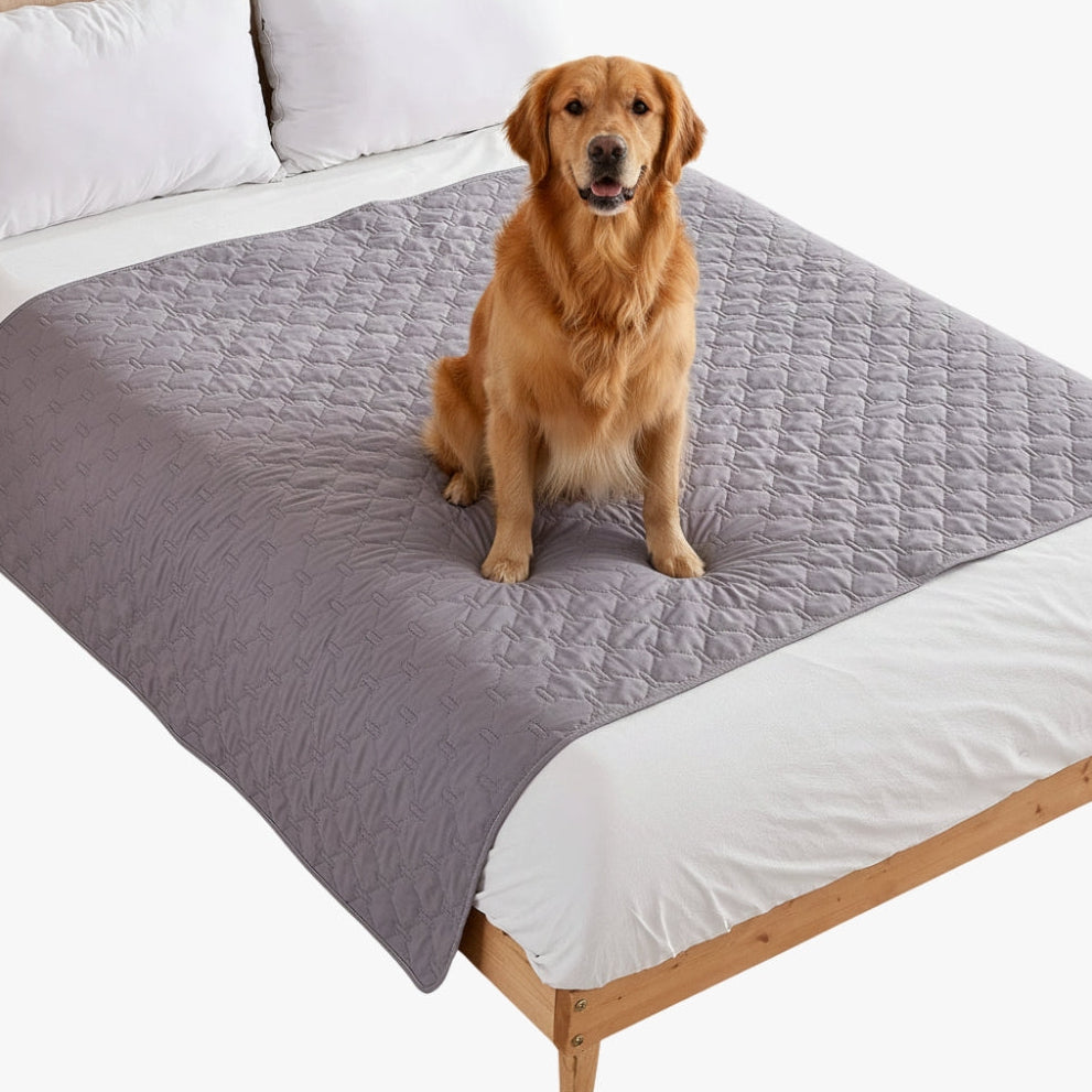 protection-de-lit-pour-chien-gris