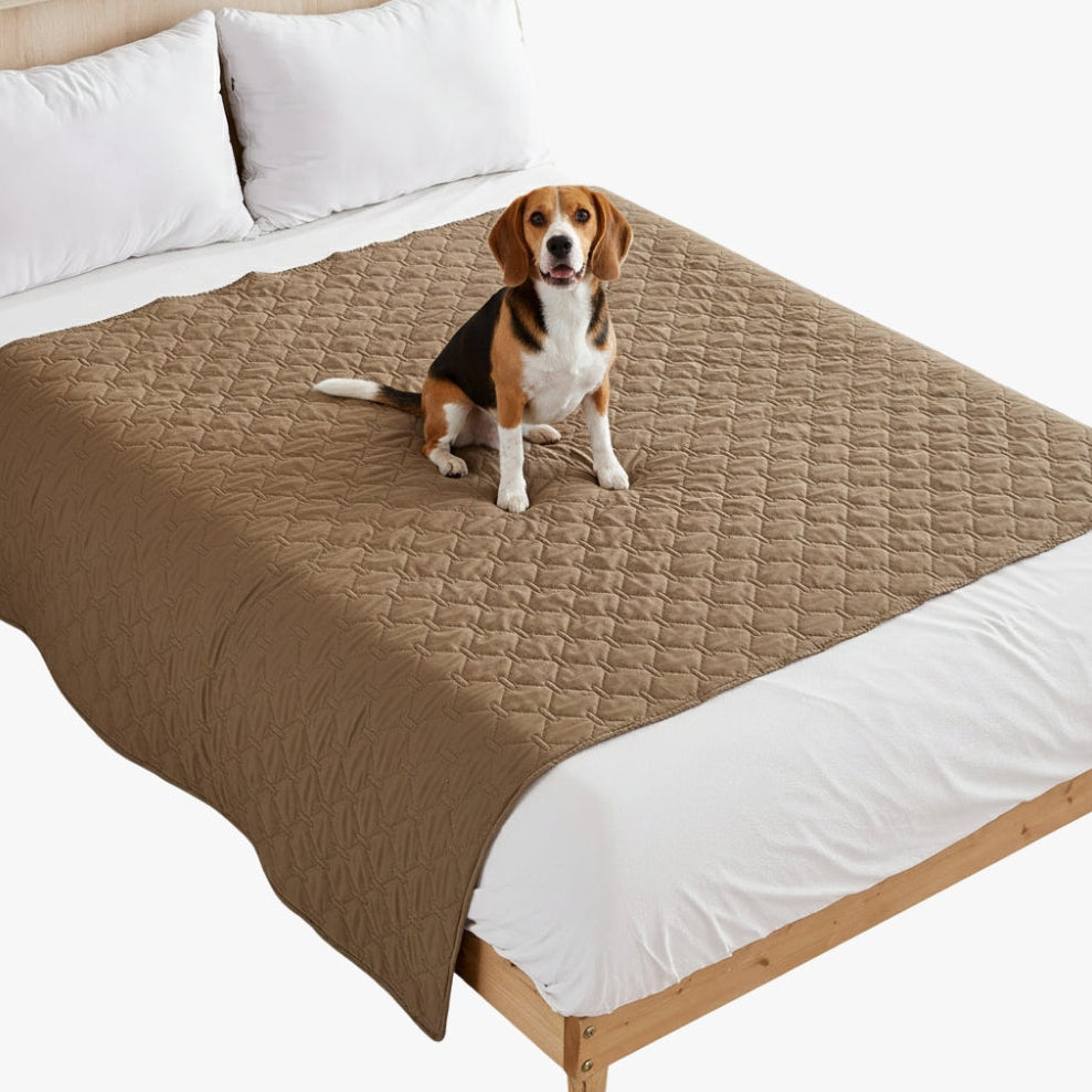 protection-de-lit-pour-chien-marron