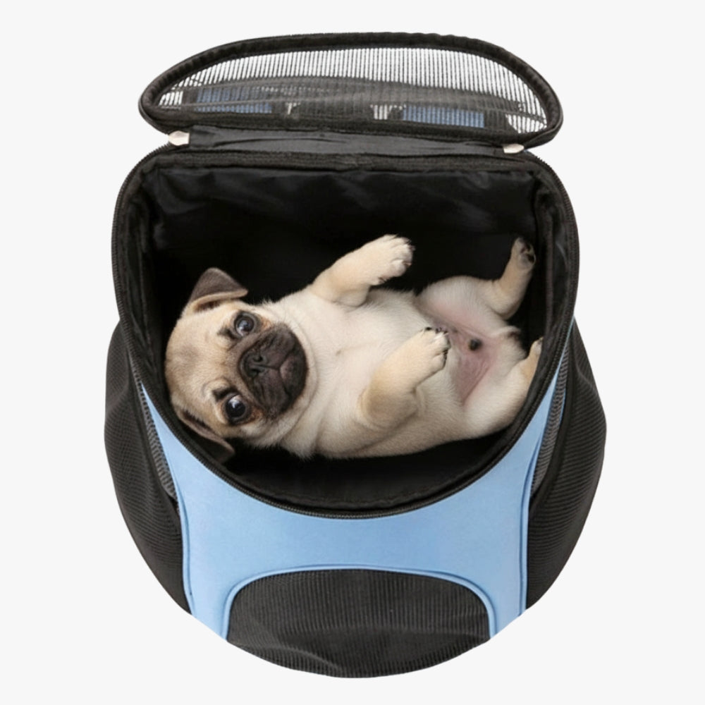 sac-a-dos-de-transport-pour-chien-bleu-dessus