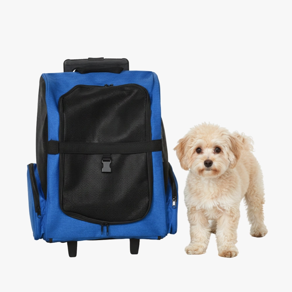 sac-a-dos-de-transport-pour-chien-roulettes-bleu-chien-a-cote
