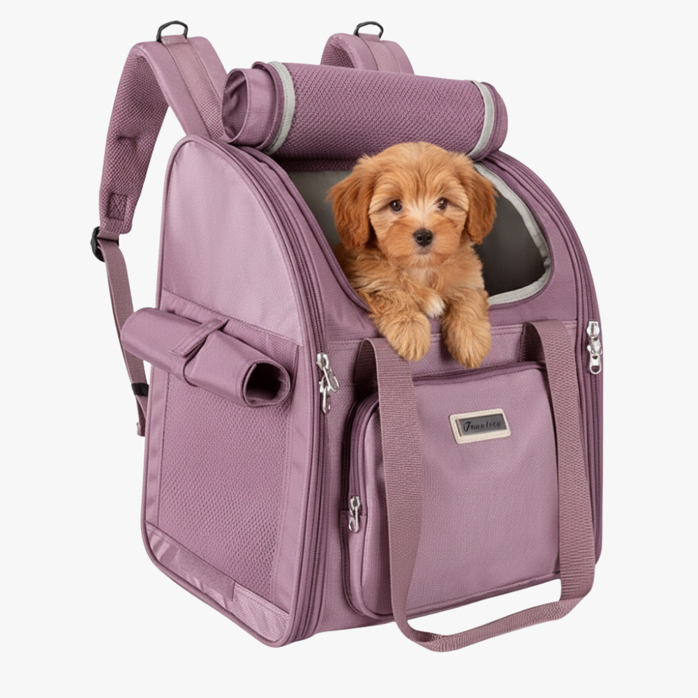 sac-a-dos-de-transport-pour-chien-violet-demo