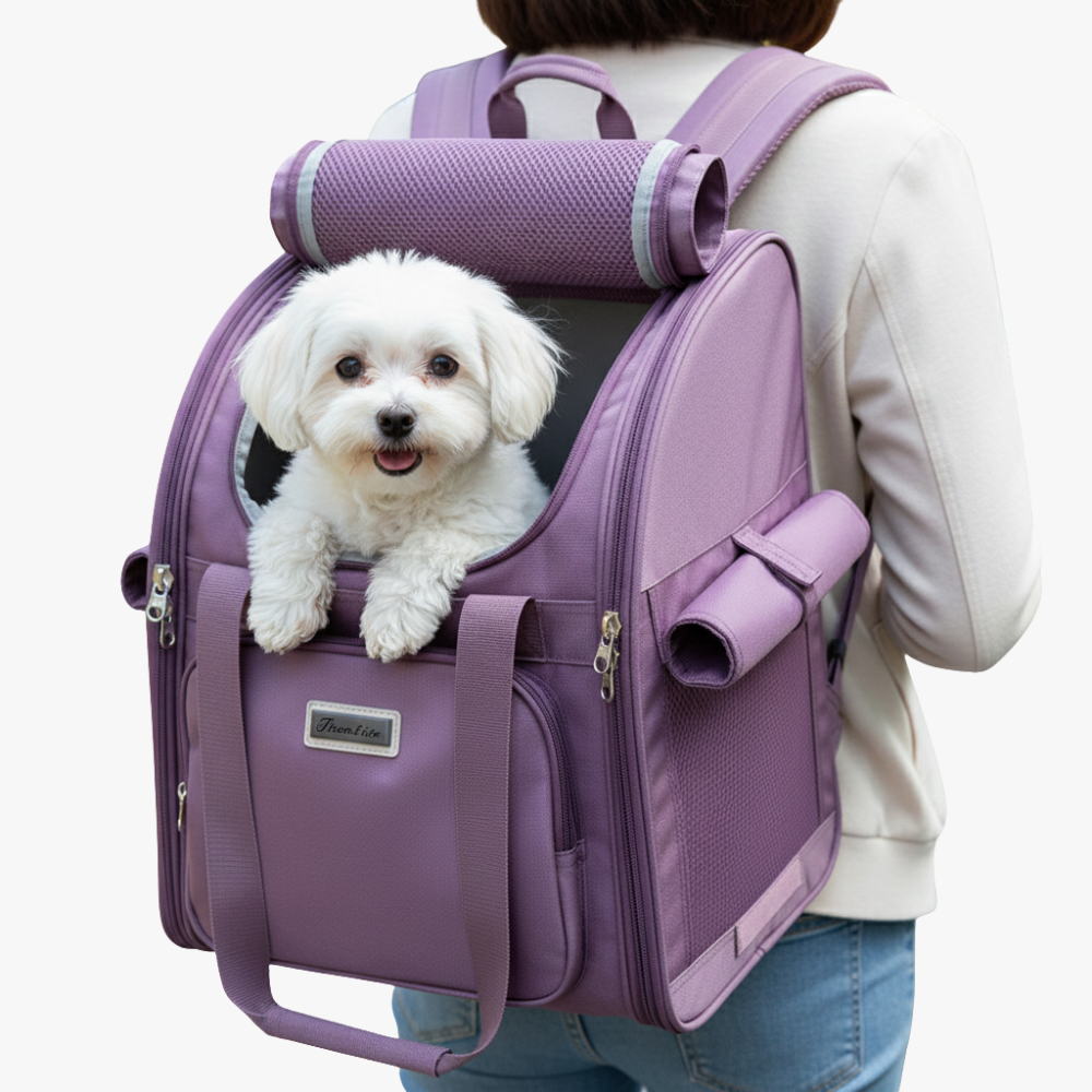 sac-a-dos-de-transport-pour-chien-violet-marche