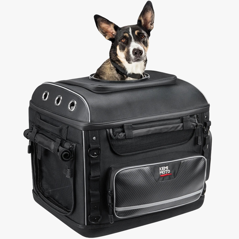 sac-de-transport-moto-pour-petit-chien-1