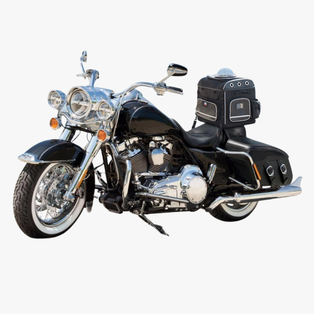 sac-de-transport-moto-pour-petit-chien-cote2