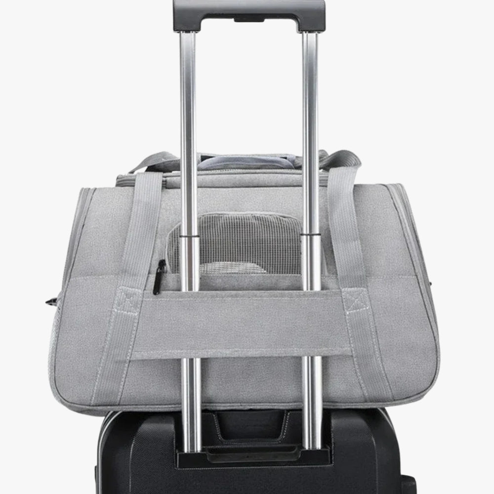 sac-de-transport-pour-chien-gris-dos