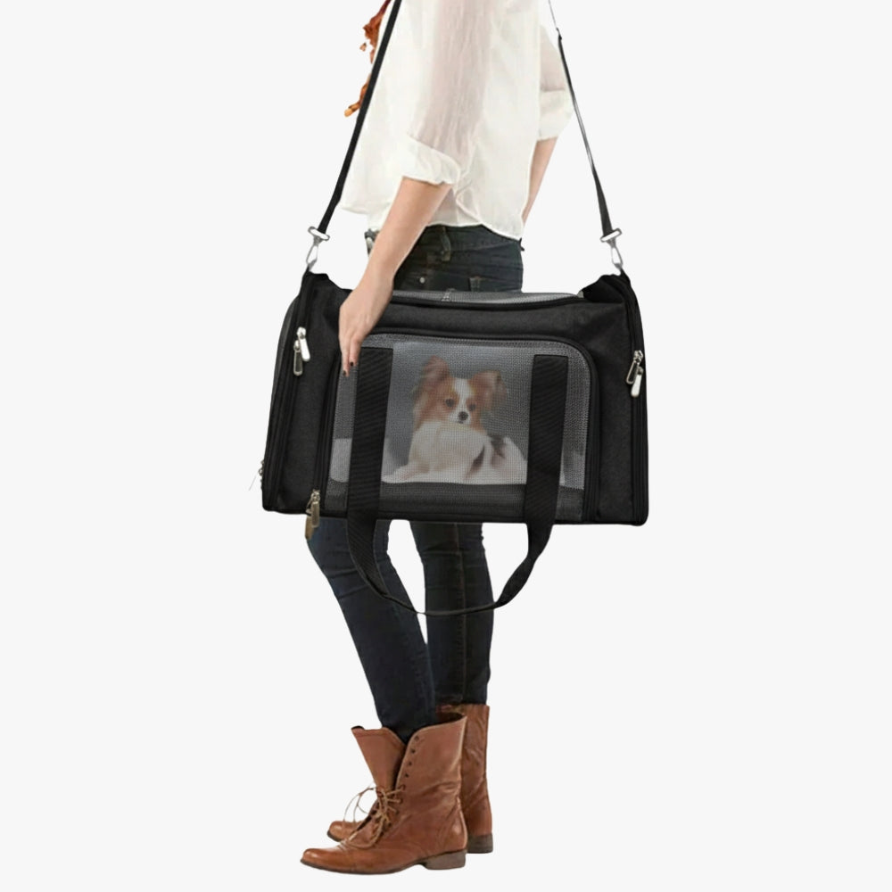 sac-de-transport-pour-chien-noir-porte
