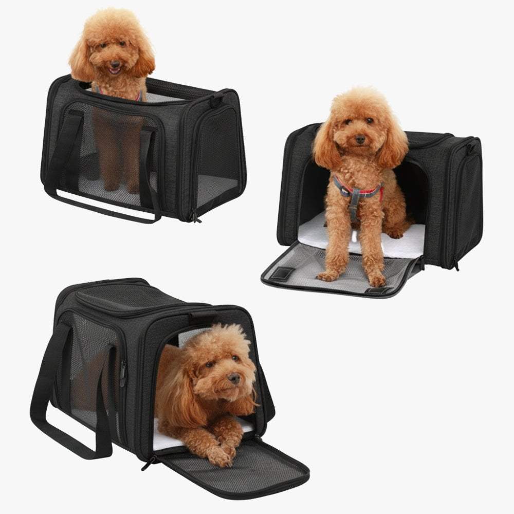 sac-de-transport-pour-chien-noirs