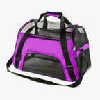 sac-de-transport-pour-chien-violet-vide