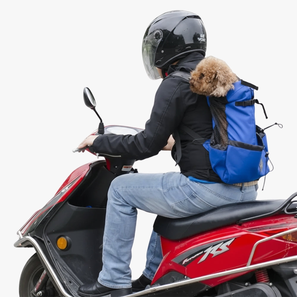 sac-dos-de-moto-pour-chien-bleu-cote