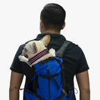 sac-dos-de-moto-pour-chien-bleu-dos